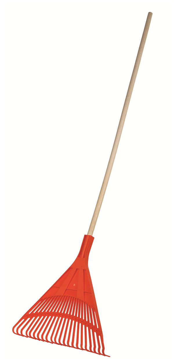 P-S100